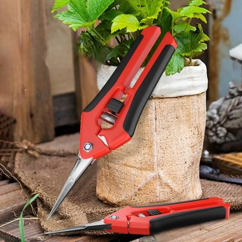 Professional Pruning Shears for Gardeners
